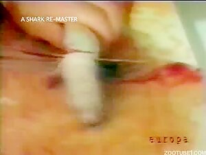 3 retro zoophilia videos