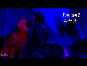 5 Stages of a female dog Submissive to Mating