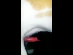 A bitch fucking dog puts her dog in his place