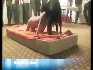 A Chic and Bestial Evening