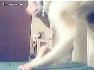 A dangerous obsession with dogs