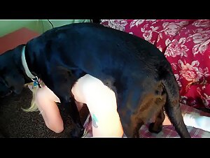 A group of sluts play with a dog during a naughty party at their house