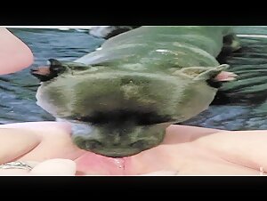 A mother cared for by her dog