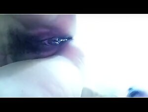 A Pack of Exciting Dogs