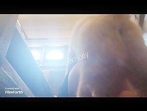 A Pleasant Day with a Dog