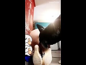 A whore sucks her dog on xvideoszoo