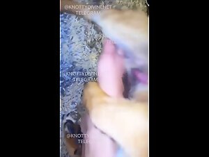 A Wild Encounter: Ardent Discovery