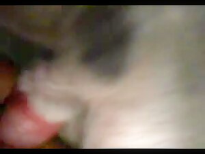 Active women having fun with a canine companion