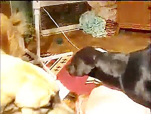 Adicta no Cuzinho 3 - Extreme Bestiality Scene