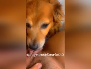 adolescent bestiality, deep desires