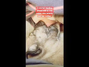 Adopting a New Puppy: A Zoophilia Experience