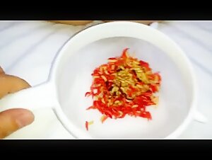 Adorable brunette indulges in bestiality with a dog