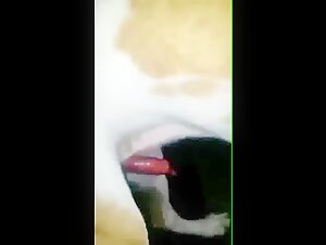 After the shower: Dog style