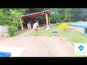 Alison and her two dogs