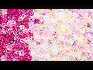 Alison Behind the Scenes