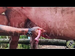 Alison Boar Blowjob - BIG CUM [NEW]