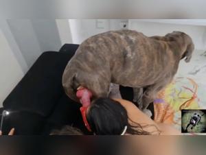 Alisonprod: canine felonia and raw enjoyment