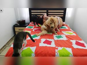 Alissonprod - The Canine Obsession: Milly Indulges in the Dog (Part 2)