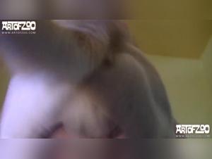 All for you, the slut who fucks with a dog: a wild love story