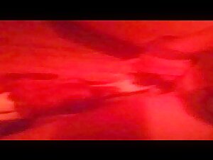 Almost caught in the act of nighttime licking