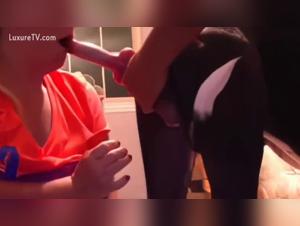 Amadora: Bestial delirium, intense canine passion