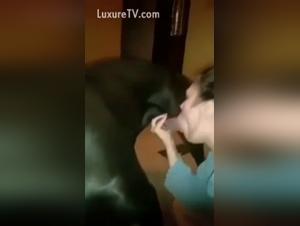 Amadora: where bestiality is revealed without restraint