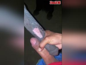 Amateur and dog: Febrile orgies