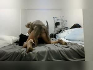 Amateur canine fuck - Hardcore compilation