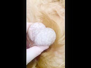 Amateur Dog 24: Intimate Moments with Dogs