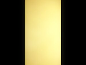 Amateur Dog 34: Intimate Moments with Dog Lovers