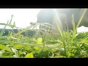 Amateur Outside Love: A bestial and intense encounter