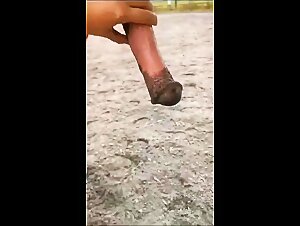 Amateur Pornographic Beastiality