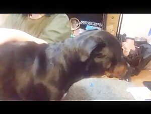 Amateur Wife and Her Best Friend on All Fours