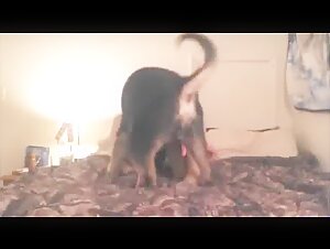 Amazing teenage girl and her dog