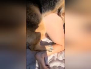 American Bestiality: Wild Desire in the Wild