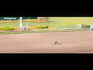 Amy Smart - Horse Sex Scene (Crank 2)