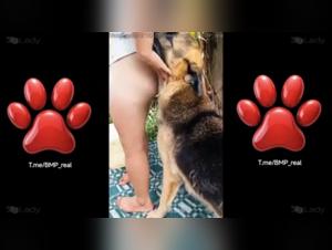 Analina: The Canine Obsession - Unforgettable XXX Delights