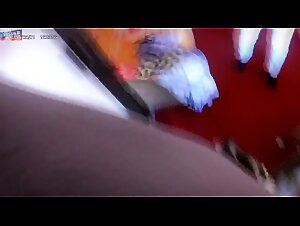 Angele canine exploration