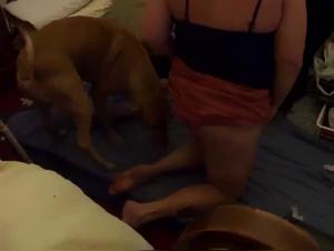 Animal Bestiality: The Story of the Slut