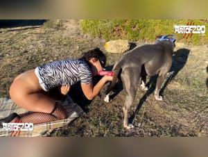 Animal bestiality with the beautiful slut