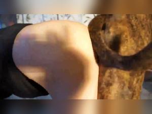 Animal Bondage: The Machine Unleashes the Dog Fetish