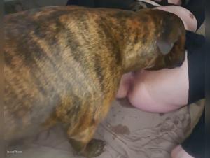 animal breath, uncontrollable orgasms