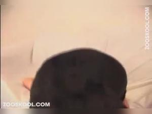 Animal Compulsions: Rough Sex with Dogs