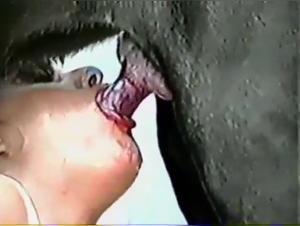 Animal Cum Marathon 6: Indomitable Canine Debauchery