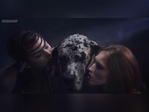 Animal Debauchery: Extreme XXX Videos