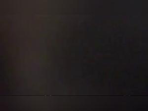 Animal Debauchery: Extreme Zoophilia XXX Videos