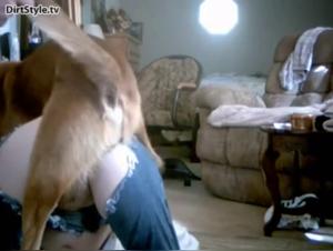 Animal Debauchery: The Wild Power of the Dog