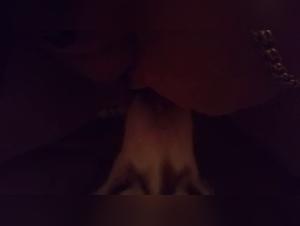 Animal Degradation: Broken Borders