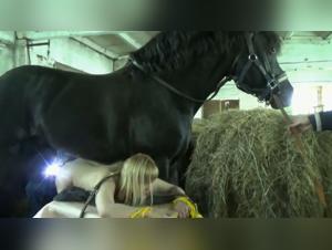 Animal delicacies: the addiction of the milf to the horse