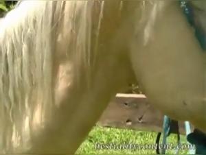 Animal Delight: Teen Assaulted Horse in Zoofilia Orgy